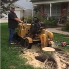 Gardner Stump Removal