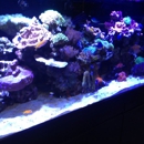 Aquarium Concepts - Aquariums & Aquarium Supplies