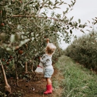 Historic Weston Orchard & Vineyard