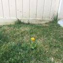 Clearwater Lawn and Landscape Inc - Landscaping & Lawn Services