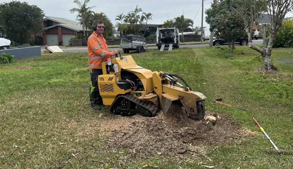 Central Coast Tree Removal - Kanwal, NSW