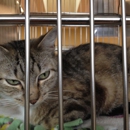 Humane Society for Southwest Washington - Animal Shelters