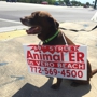 Treasure Coast Animal Emergency Specialty Hospital