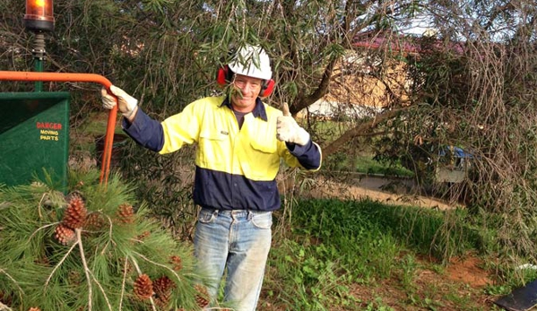 Steve McGrath's Tree Service - Parkes, NSW