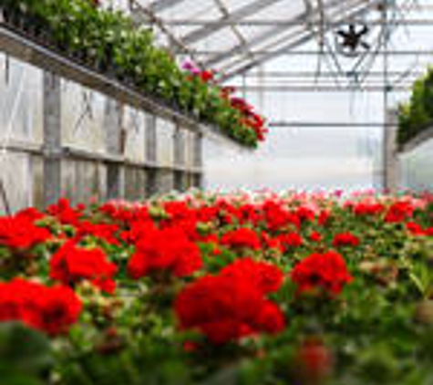 Snowgum Nursery - Mansfield, VIC