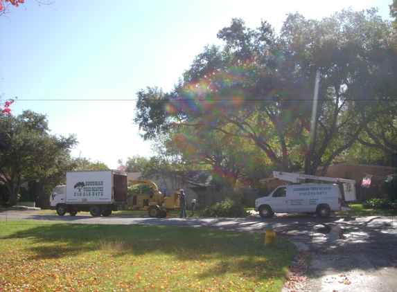 GOODMAN TREESCAPES - San Antonio, TX