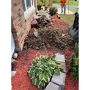 T. Dotson's Drains - Plumbing-Drain & Sewer Cleaning