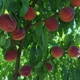 B & B Fruit Stand