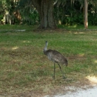 Back to Nature Wildlife Refuge