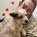 VCA Dudley Avenue Animal Hospital