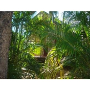 Gallery Image Number 4