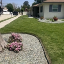 Gomez Lawn and Tree Service - Sod & Sodding Service