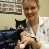White Oaks West Animal Hospital gallery