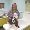 Keystone Heights Animal Hospital gallery