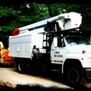 Mejias Tree Service - Tree Service