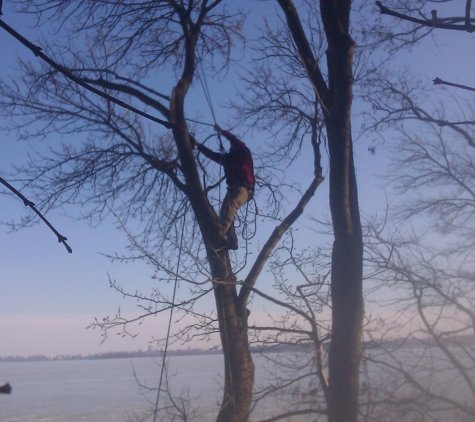 Autumn's  Tree Service LLC - Madison, WI. Deadwood Removal on the Madison Lakes.