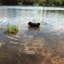 Alimagnet Dog Park - Parks