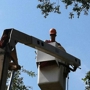 Tree Service By Curtis, Inc.