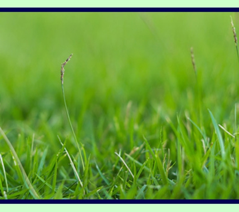 Ipswich Turf Supplies - Coominya, QLD. We Are A Family Owned Business