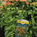 London Bridge Greenhouses & Nursery - Garden Centers