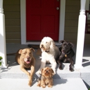 Dog Porch - Pet Services