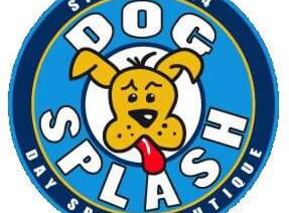 Dog Splash - Chicago, IL