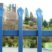 Gallery Image Number 4