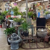 Hillview Garden & Floral gallery