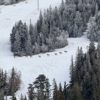 Terry Peak Ski Area gallery