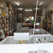Gallery Image Number 5