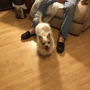 VCA Todds Lane Animal Hospital - Veterinarians
