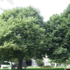 Lakewood United Methodist Church