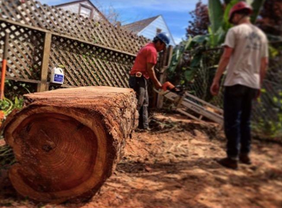 The Urban Arborist - San Francisco, CA