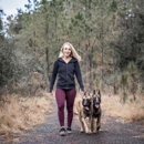 Ridgeside K9 Tampa Dog Training - Pet Training