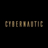 Cybernautic Web Design gallery