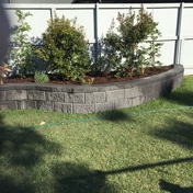 Gallery Image Number 6