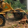 Hanstad Stump Removal gallery