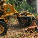 Hanstad Stump Removal - Tree Service