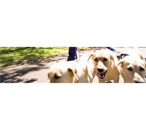Lindisfarne Veterinary Clinic - Lindisfarne, TAS