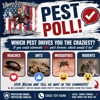Liberty Exterminators And Wildlife Removal gallery