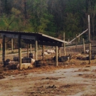 Liberty Delight Farms Inc
