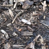 Denchfield Landscaping gallery