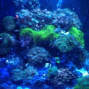 Coral Logic Aquarium - Aquariums & Aquarium Supplies