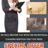 Little ELm TX Carpet Cleaning gallery