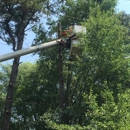 Williams Tree Service - Tree Service