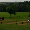 Lantern Hill Equine Retirement - Bed & Breakfast & Inns