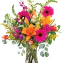 Clayton Florist: the Florist at Plantation - Florists