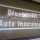 Bluebonnet Auto Insurance