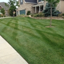 Diamond lawn and snow llc - Landscaping & Lawn Services