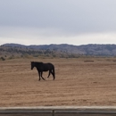 Black Hills Wild Horse Sanctuary - Wildlife Refuge
